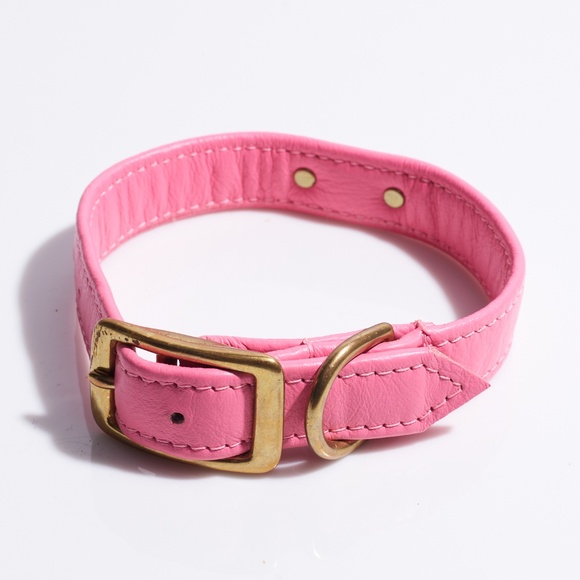 Leather Dog Collar by Hound Collection with Gold Bar Logo - Picture 2 of 8